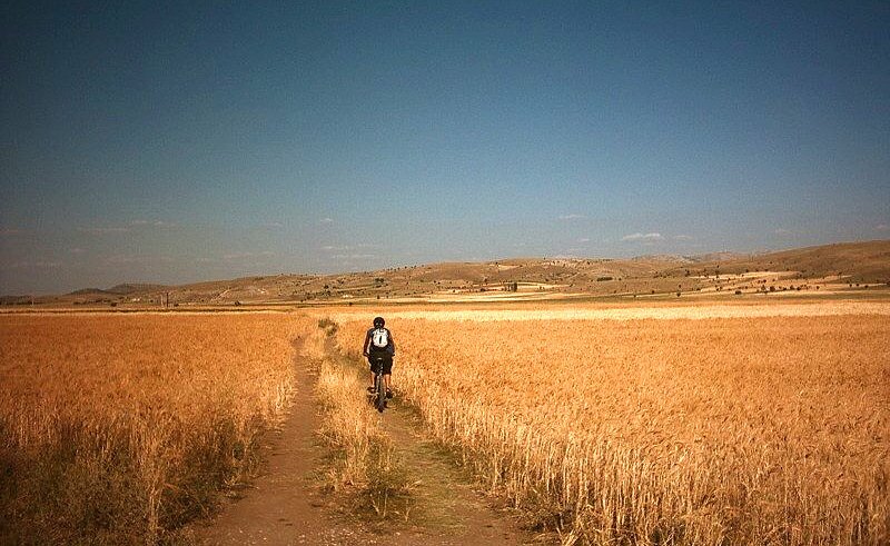  Scenes from our 200 km bike tour